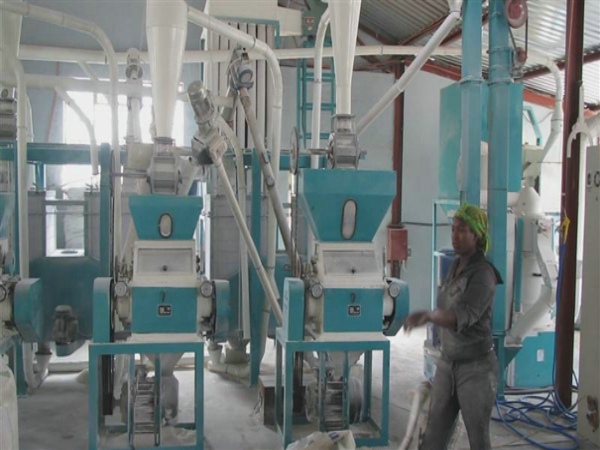 日產(chǎn)50噸玉米加工設(shè)備黑龍江客戶(hù)安裝調(diào)試試機(jī)現(xiàn)場(chǎng)（圖）